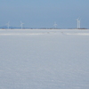 雪原の風車