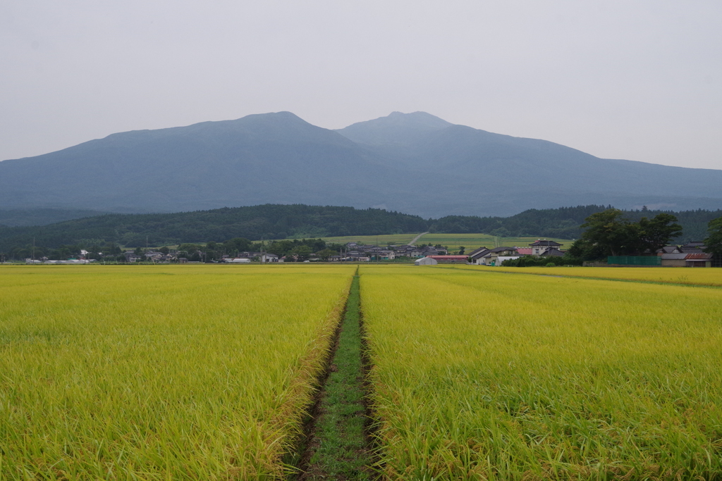 実りの季節