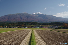 11月７日の鳥海山