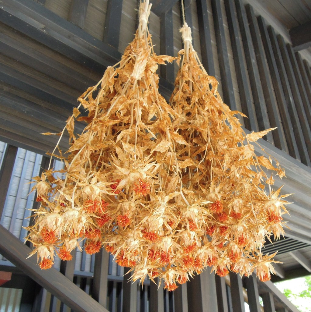 吊るし紅花