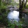 獅子ヶ鼻湿原の出つぼ（湧水）