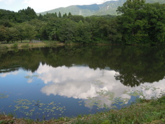 沼のほとりで-4