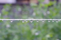 雨粒のポロンポロン-3