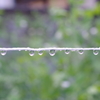 雨粒のポロンポロン-3