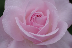 スパイラルに魅せられて2