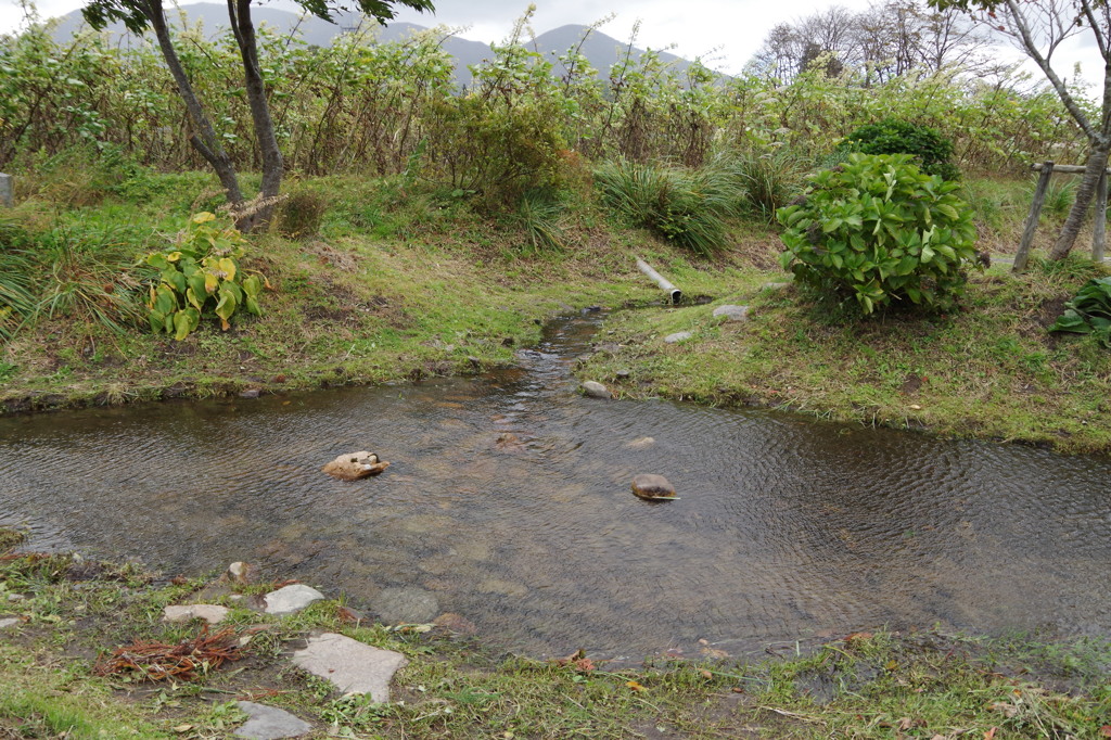 駅前分水嶺