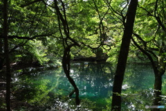 青と緑の神の池－丸池様12