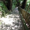 滝への石段