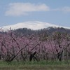 桃園・月山