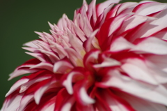 サンタクロース-2