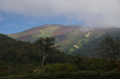 草紅葉の月山