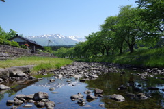 洗沢川-初夏