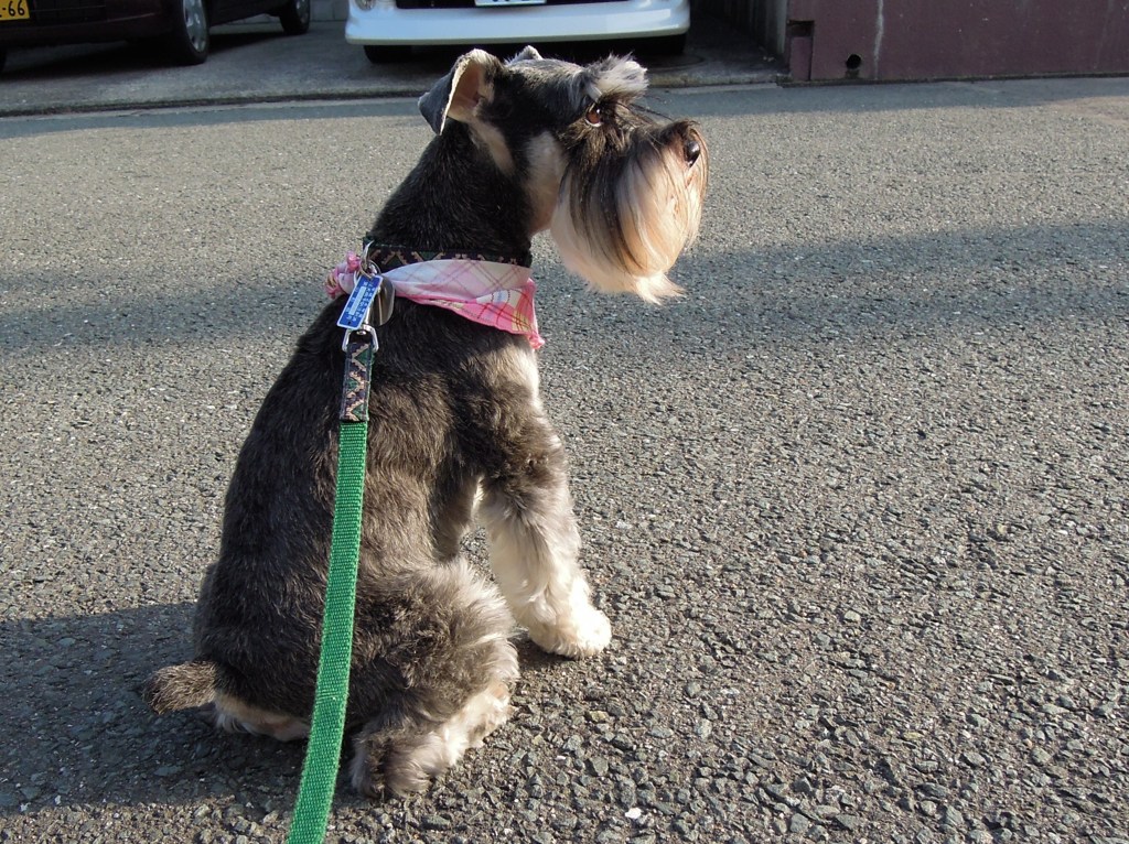 まだかなぁ