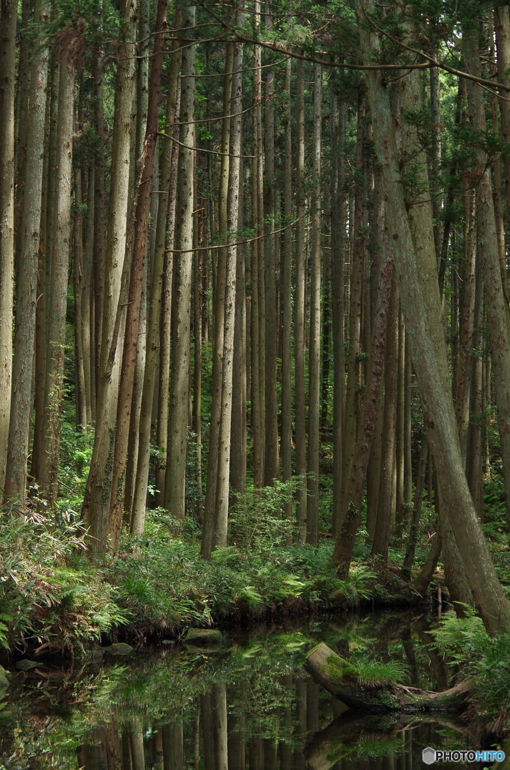 牛渡川-2