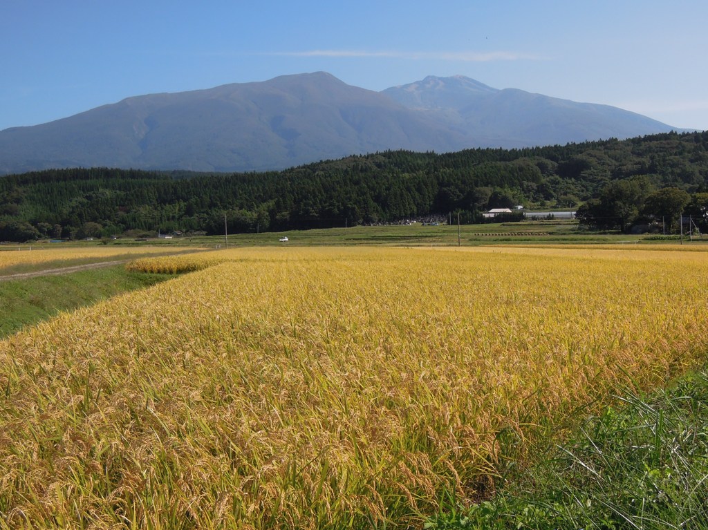 鳥海山麓の実り２０１１
