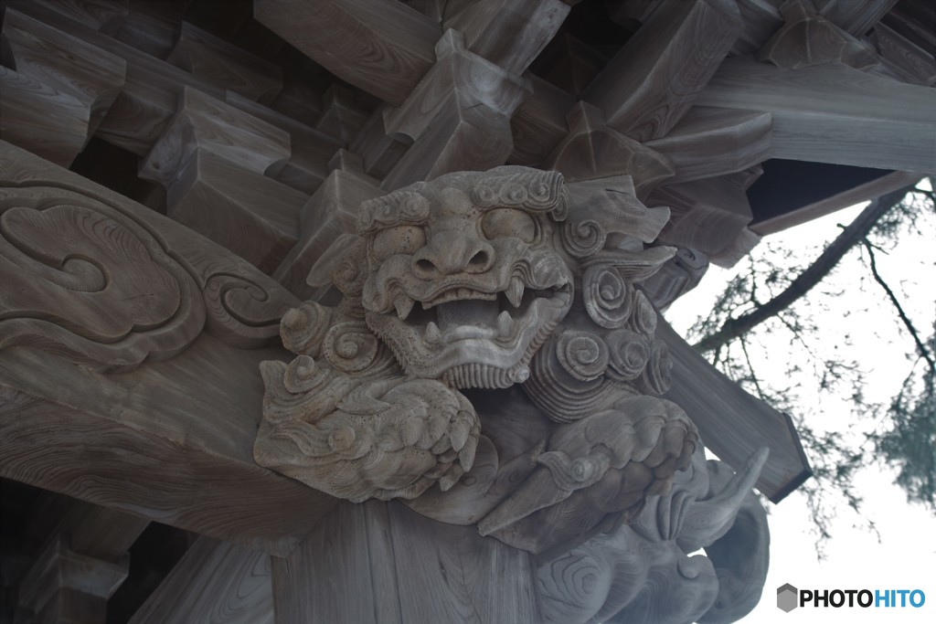酒田・浄福寺唐門-5