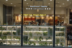 ウインドーショッピング-3