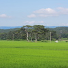 小さな島