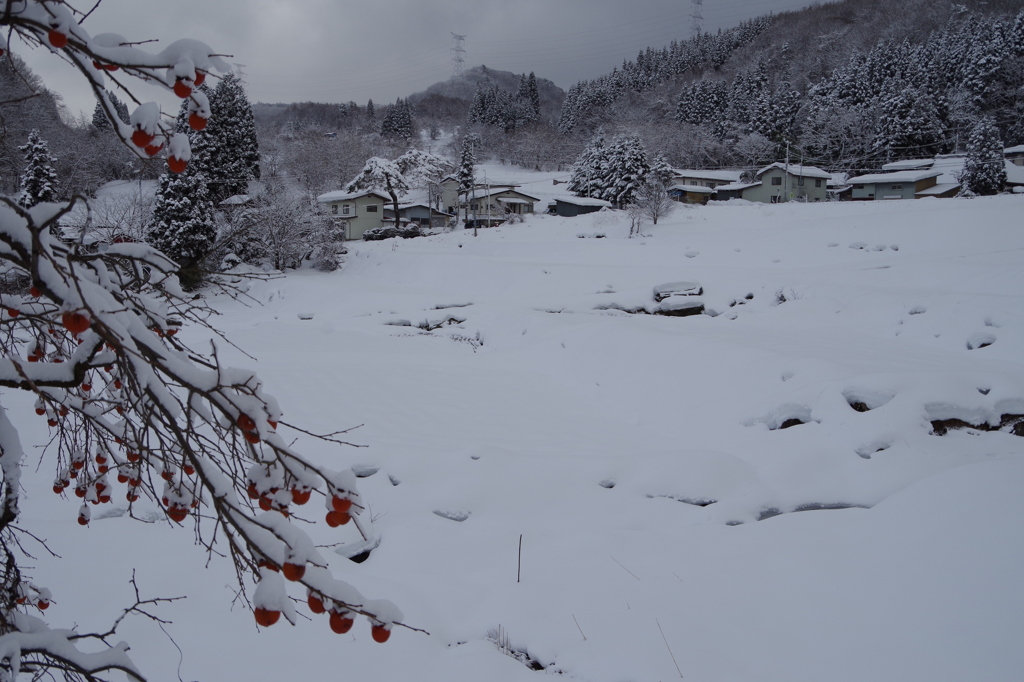 棚田は雪の下