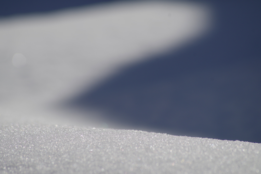 SHADOW-4