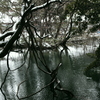丸池様-雪の朝3