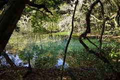 秋の終りの丸池様-1