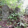 樹下にひっそりと