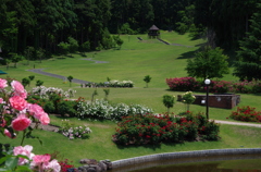 東沢公園-展望台