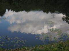 沼のほとりで-2