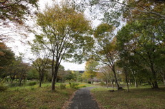 少し秋色の野草園