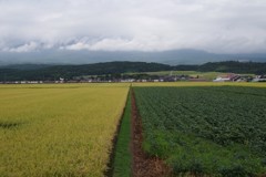 鳥海山は雲の中