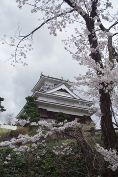 山形の桜尽くし-17