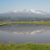 鳥海山の春