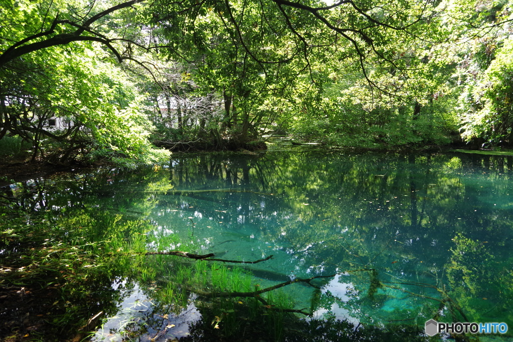 青と緑の神の池－丸池様10