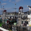 真昼のイカ釣り船-2