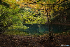 秋色の丸池様-1