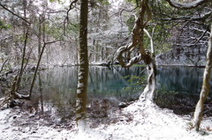 雪の丸池様-1