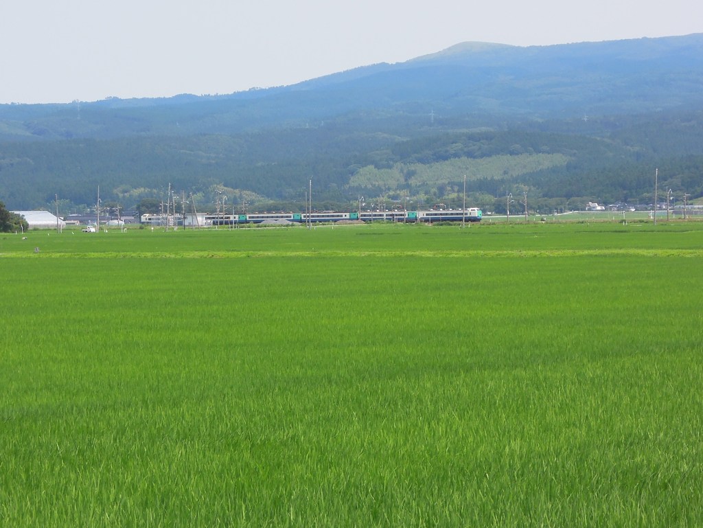 鳥海山の麓を行く「いなほ」