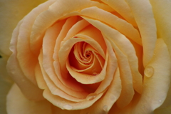 スパイラルに魅せられて1