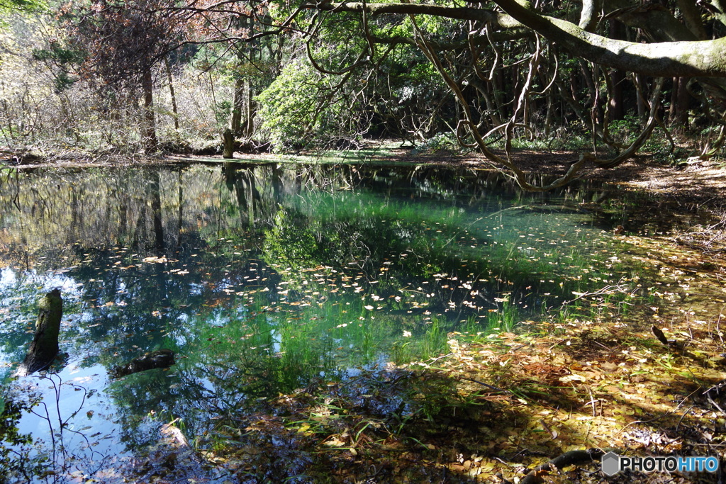 落葉を浮かべて-1