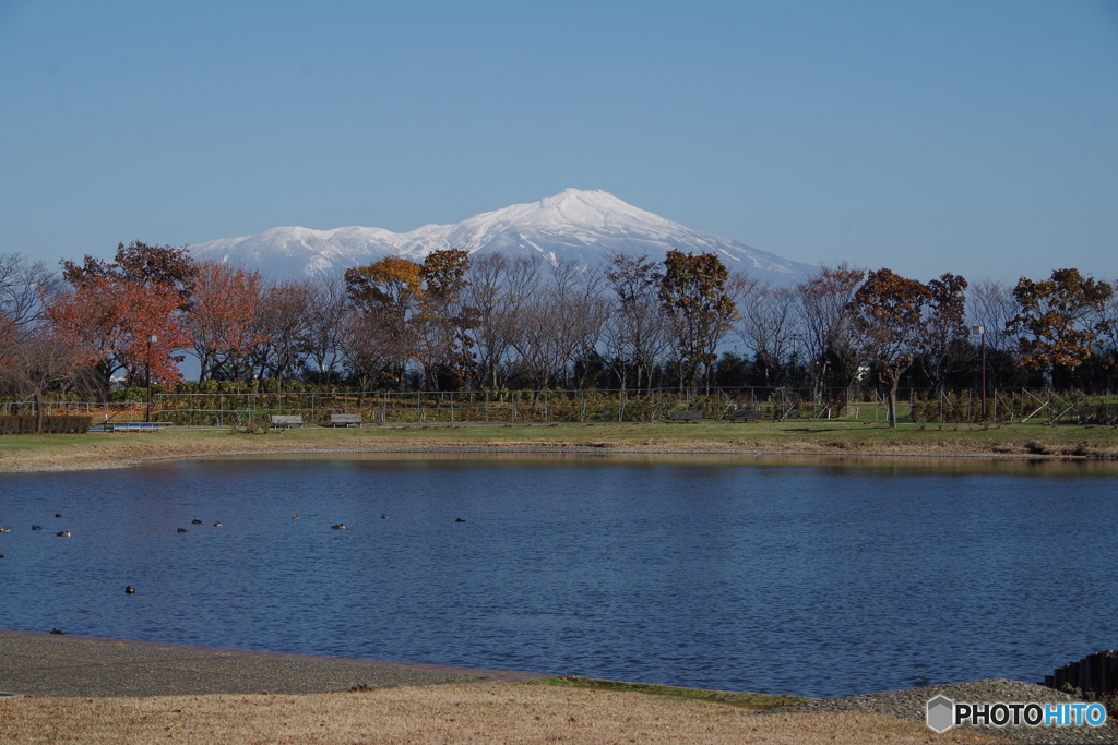 白鳥池と鳥海山