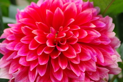 秋田ブランド-NAMAHAGEオータム