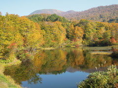 月山・地蔵池の紅葉-2