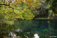 秋色の丸池様-5
