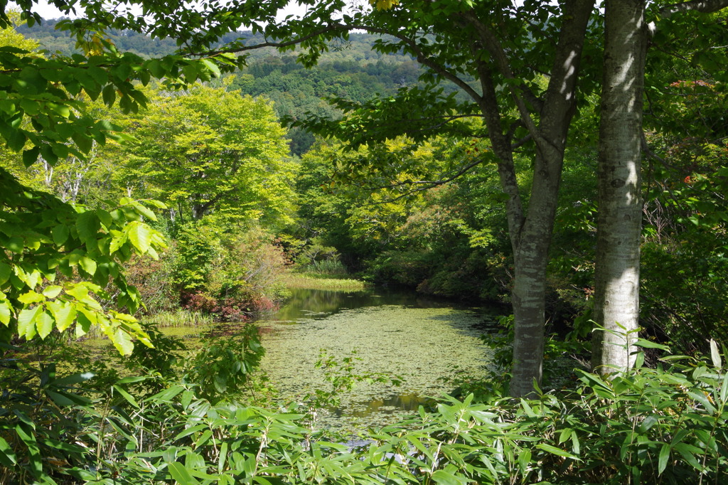 月山・地蔵池-3
