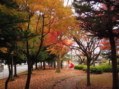 家の近くの公園