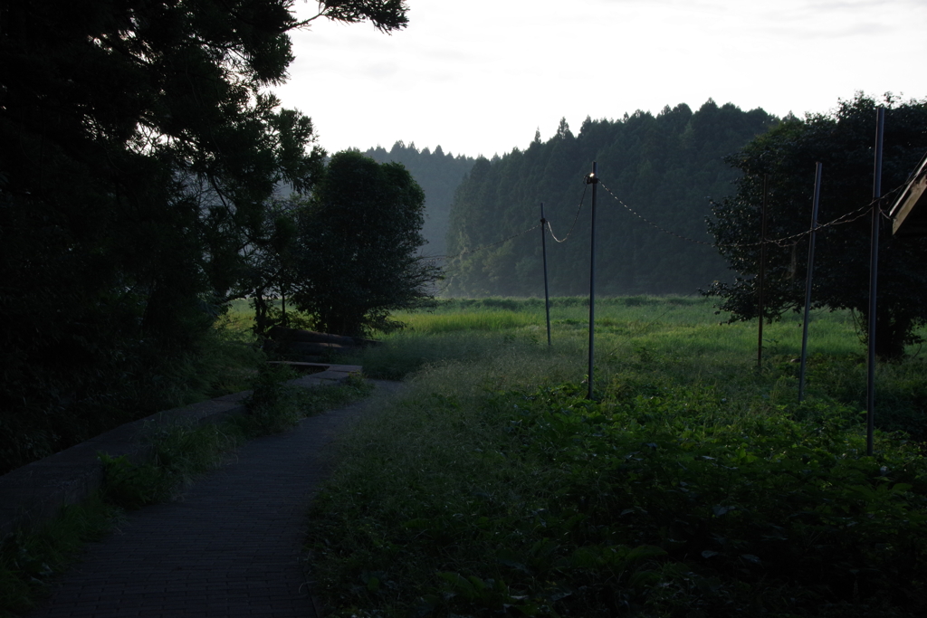 丸池様からの戻り路