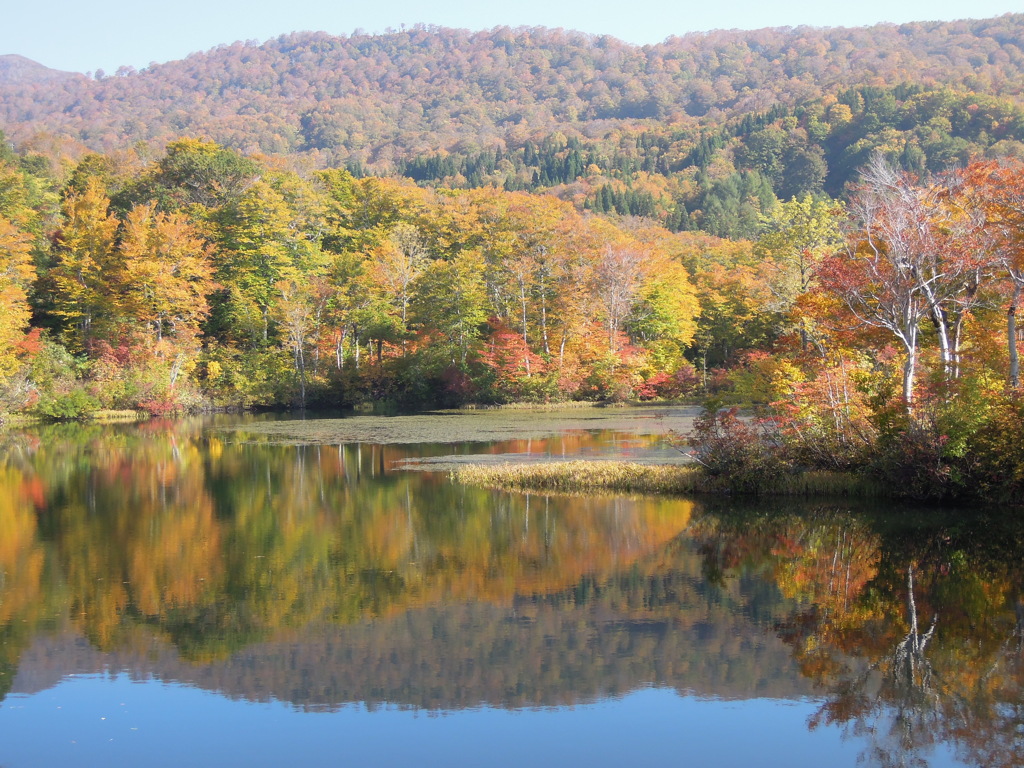 月山・地蔵池の紅葉-1
