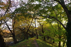 お堀の土手は散歩道-1