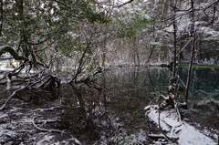 雪の丸池様-4